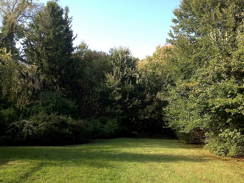Future site of ProcessHouse?
