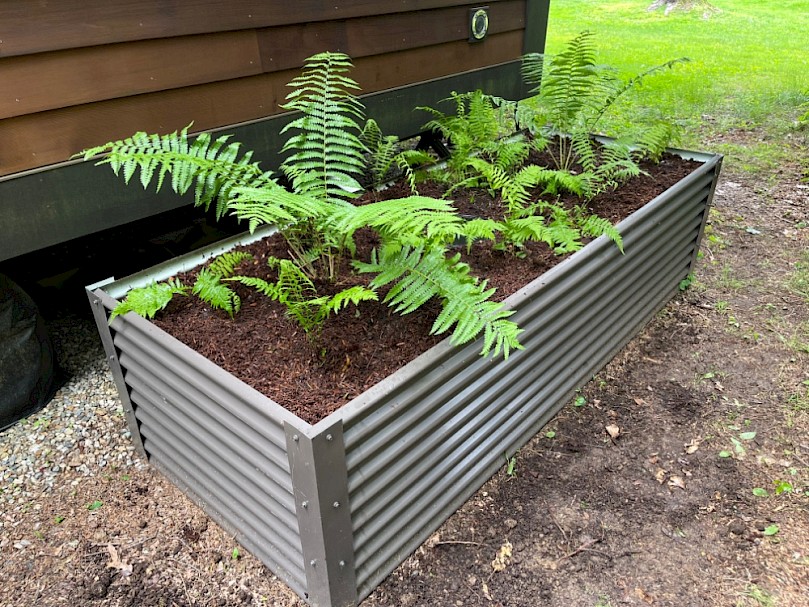 Raised greywater mulch basin with native ferns for a tiny house on wheels