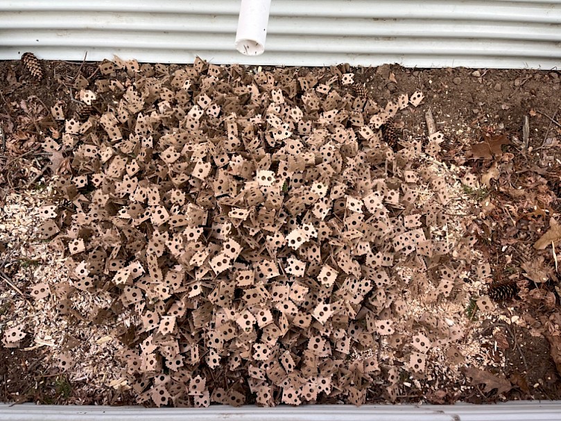 Mixing cardboard packing peanuts into a mulch basin