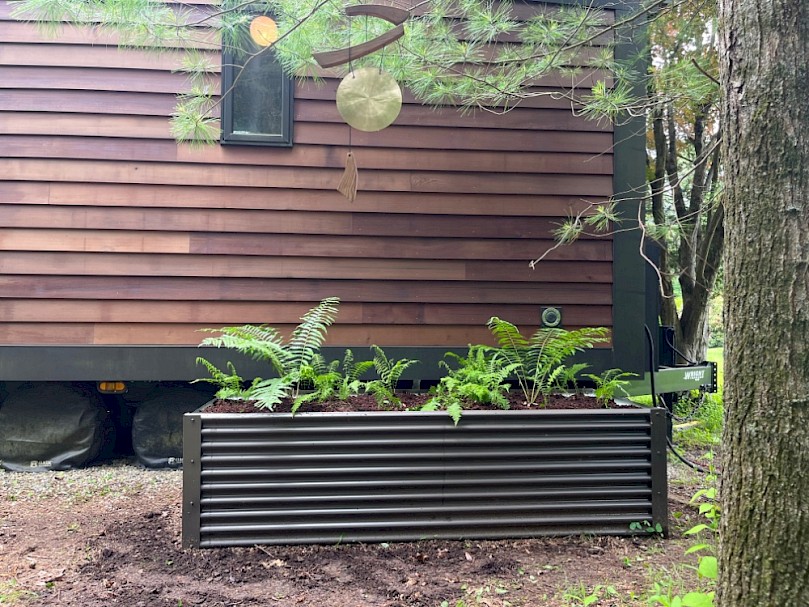 Grey water mulch basin in front of cedar clapboard tiny home with native Cinnamon and New York ferns
