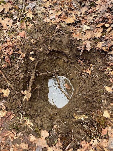 Mulch basin test hole