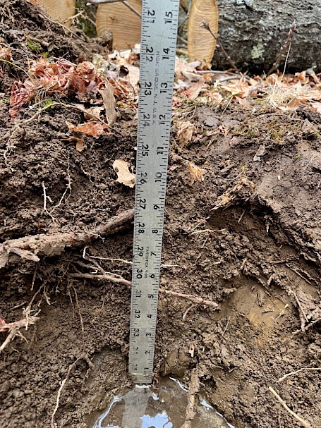 High water table mulch basin test hole